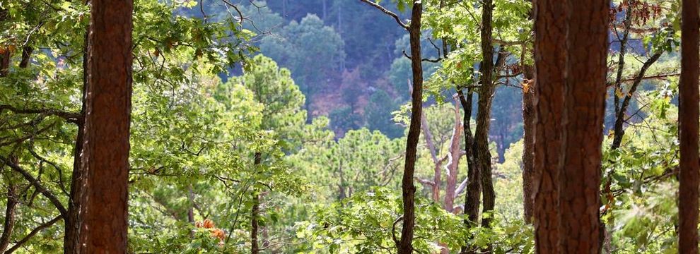 Recreational Property for sale in Le Flore County, Oklahoma
