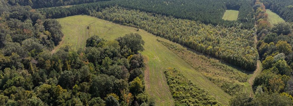 Timberland Property for sale in Montgomery County, Mississippi