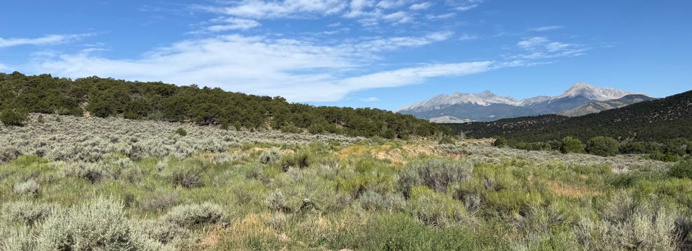 Undeveloped Land for sale in Costilla County, Colorado