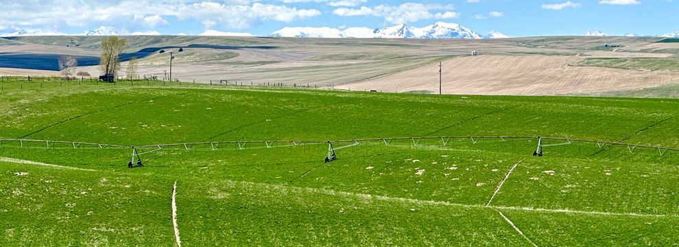 Farm and Ranch for sale in Gallatin County, Montana