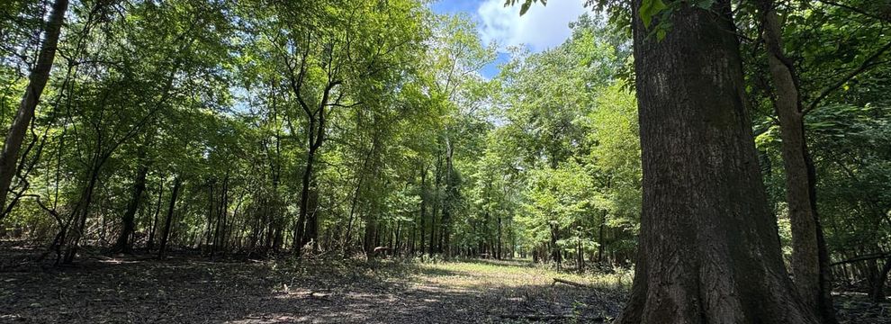 Farm and Ranch for sale in Monroe County, Arkansas