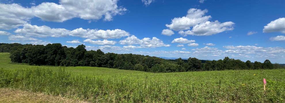Farm and Ranch for sale in Wilkes County, North Carolina
