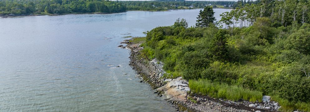 Timberland Property for sale in Washington County, Maine
