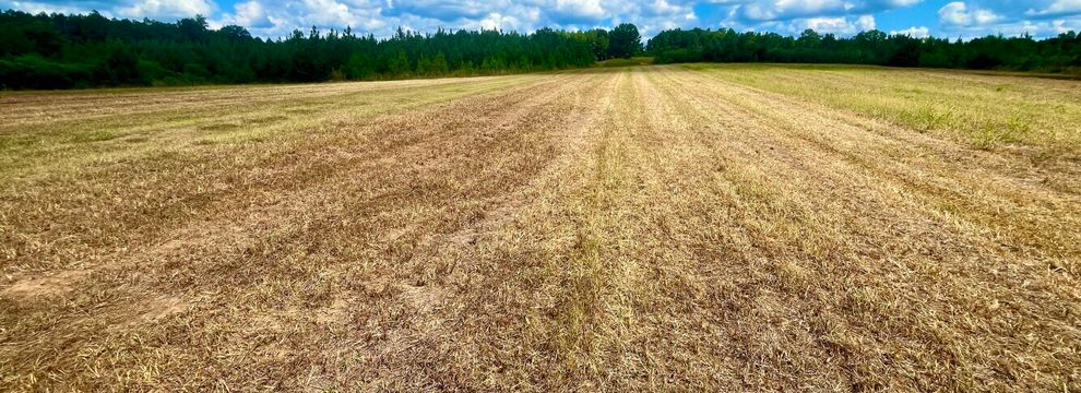 Commercial Property for sale in Bullock County, Alabama