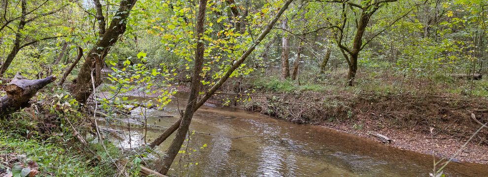 Farm and Ranch for sale in Monroe County, Tennessee