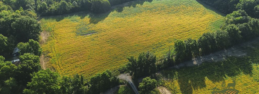 Farm and Ranch for sale in Franklin County, Illinois