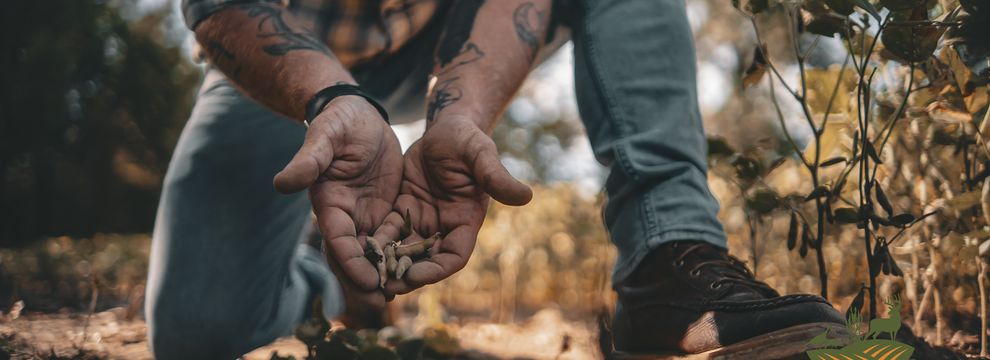 Land for sale in Franklin County, Illinois