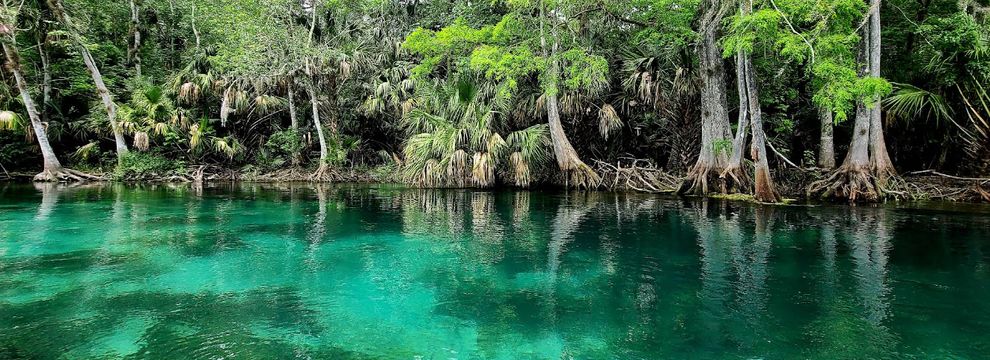 Commercial Property for sale in Putnam County, Florida