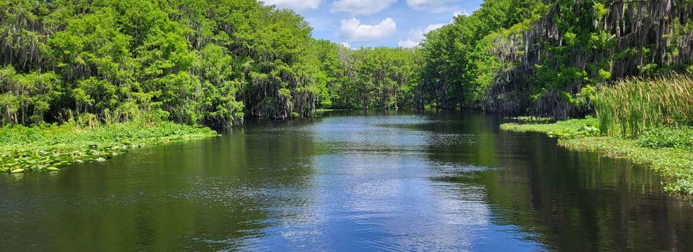 Farm and Ranch for sale in Putnam County, Florida