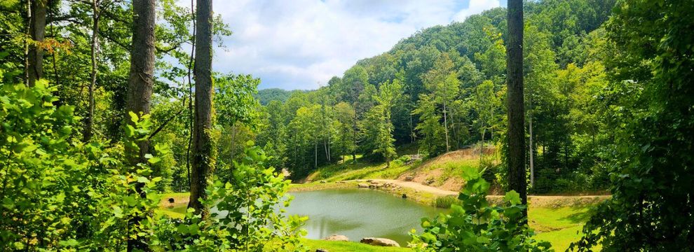 Undeveloped Land for sale in Powell County, Kentucky