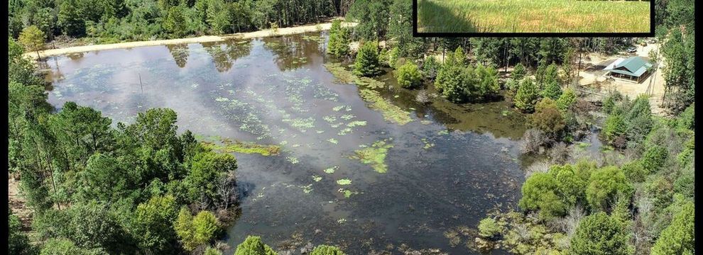 Lakefront Property for sale in Madison County, Mississippi