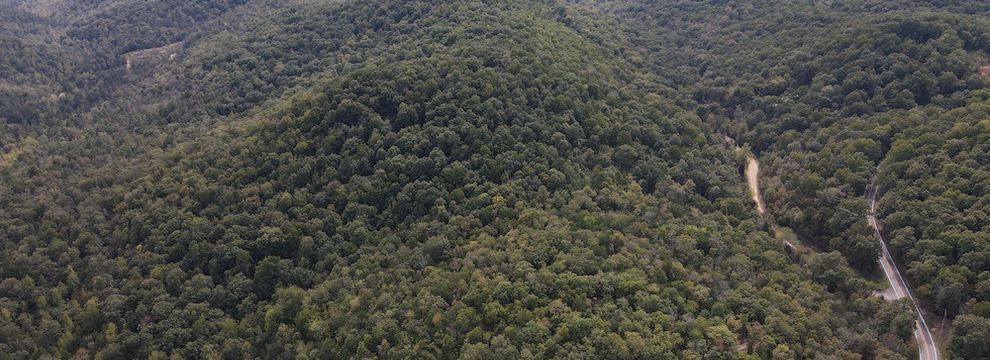Timberland Property for sale in Izard County, Arkansas