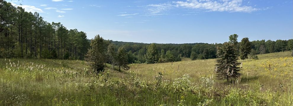 Recreational Property for sale in Lafayette County, Mississippi