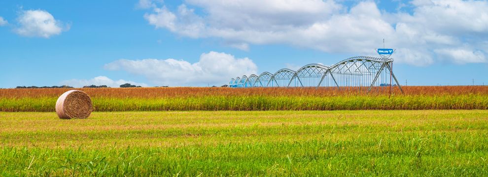 Farm and Ranch for sale in Bailey County, Texas