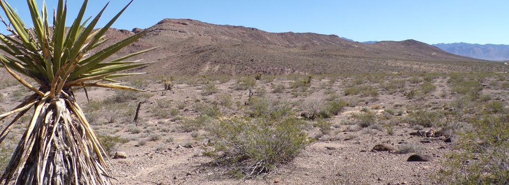 Homesite for sale in Mohave County, Arizona