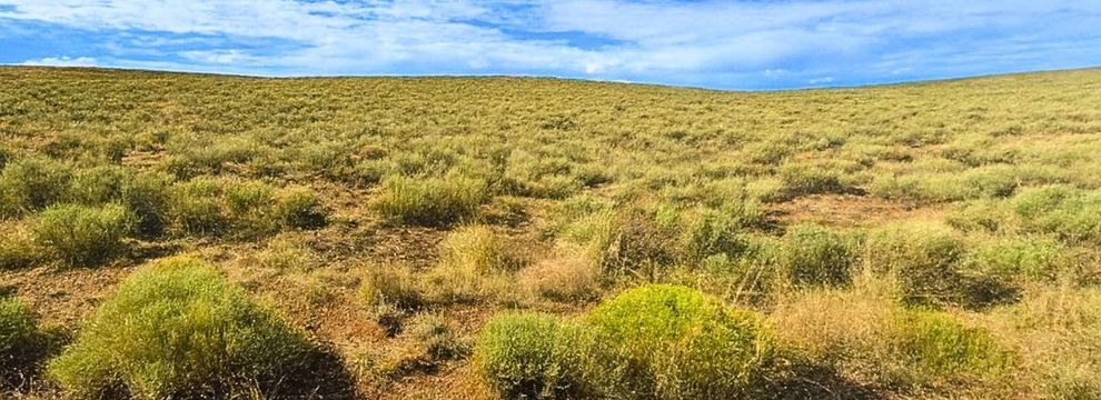 Undeveloped Land for sale in Costilla County, Colorado