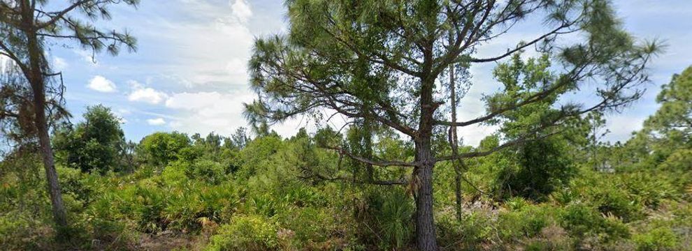Farm and Ranch for sale in Charlotte County, Florida