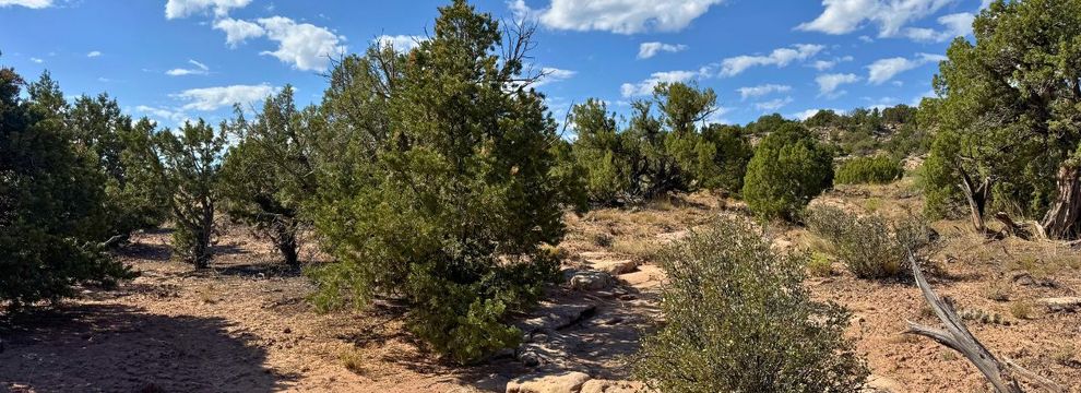 Land for sale in Duchesne County, Utah