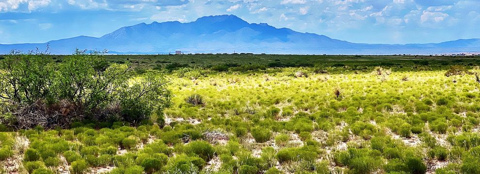 Land for sale in Socorro County, New Mexico