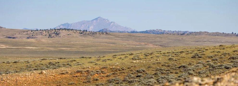 Farm and Ranch for sale in Albany County, Wyoming