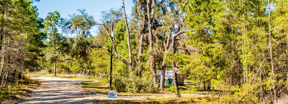 Recreational Property for sale in Putnam County, Florida