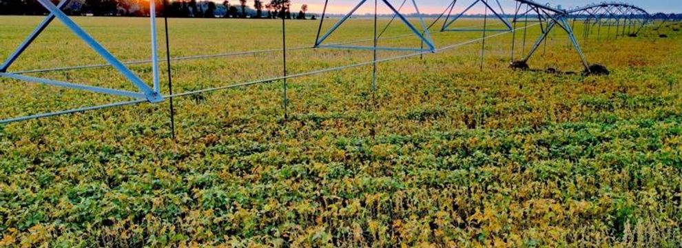 Farm and Ranch for sale in Madison Parish, Louisiana