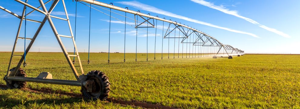 Farm and Ranch for sale in Bailey County, Texas