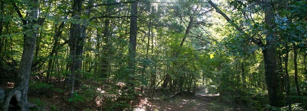 Timberland Property for sale in Claiborne County, Mississippi