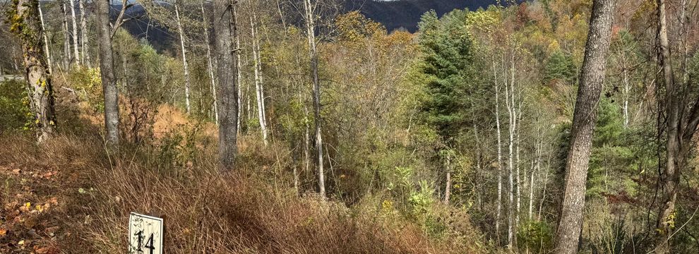 Timberland Property for sale in Johnson County, Tennessee