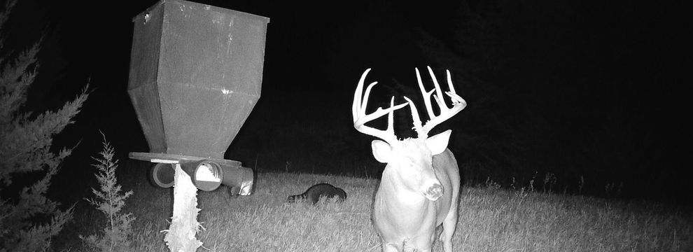 Land for sale in Jewell County, Kansas