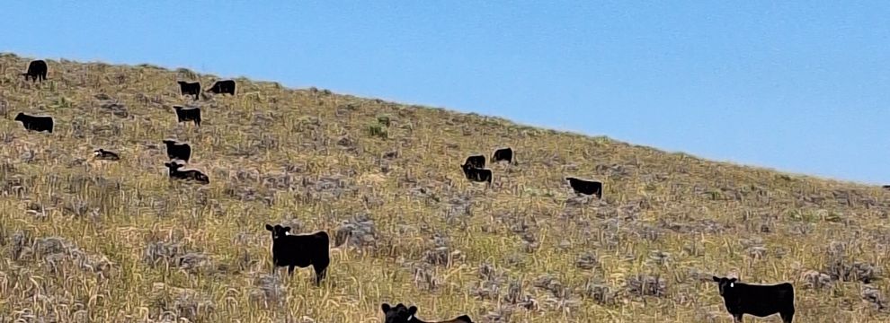 Farm and Ranch for sale in Yuma County, Colorado