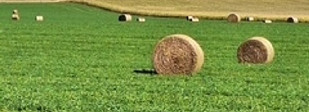 Farm and Ranch for sale in Yuma County, Colorado