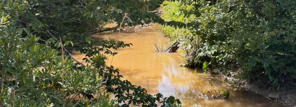 Recreational Property for sale in Newton County, Texas