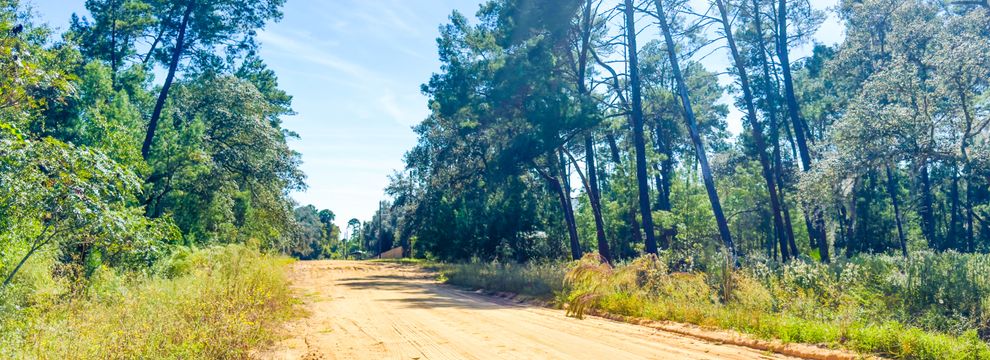 Undeveloped Land for sale in Putnam County, Florida