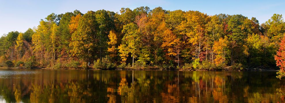 Land for sale in Lexington County, South Carolina