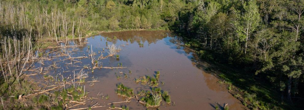 Recreational Property for sale in Rusk County, Texas