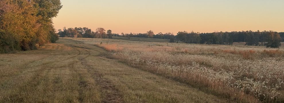 Land for sale in Houston County, Texas