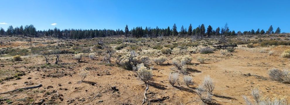 Undeveloped Land for sale in Klamath County, Oregon