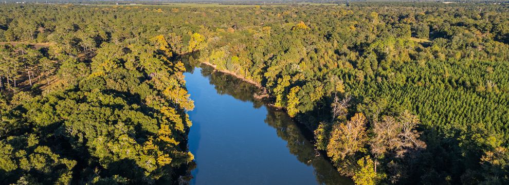 Timberland Property for sale in Mitchell County, Georgia
