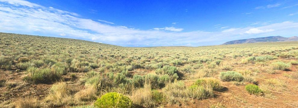 Recreational Property for sale in Costilla County, Colorado