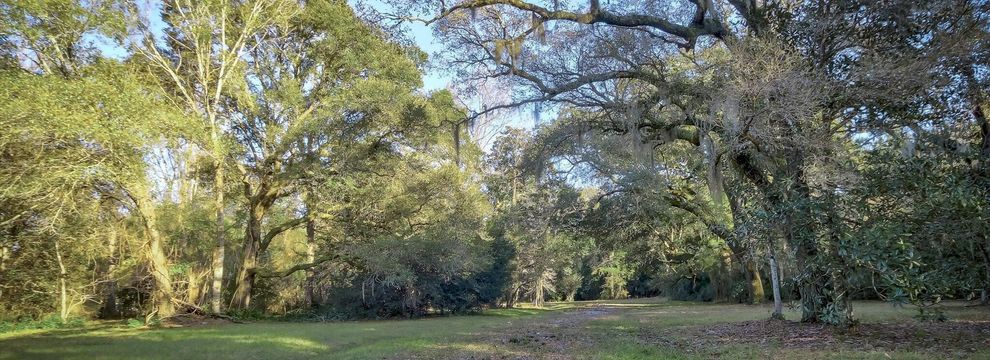 Timberland Property for sale in Hancock County, Mississippi