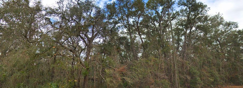 Homesite for sale in Putnam County, Florida