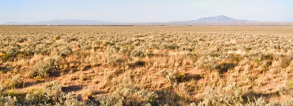 Undeveloped Land for sale in Valencia County, New Mexico