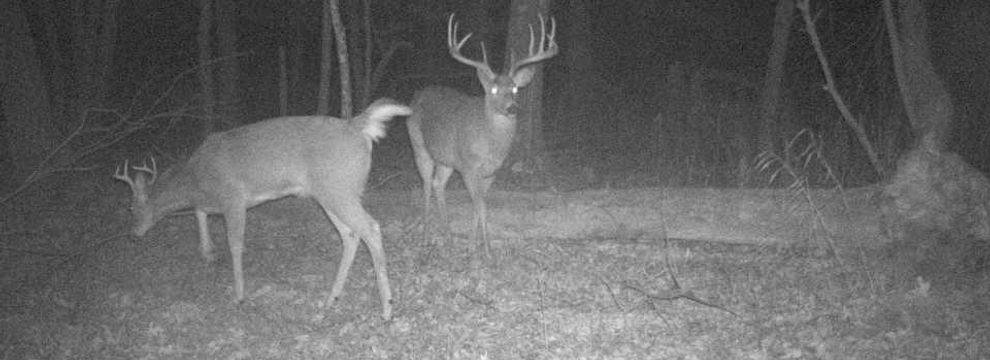 Hunting Property for sale in Juneau County, Wisconsin