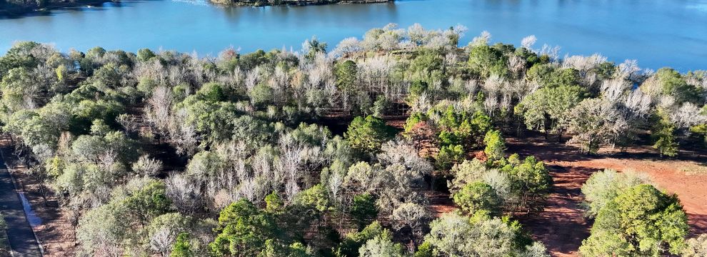 Land for sale in Anderson County, Texas