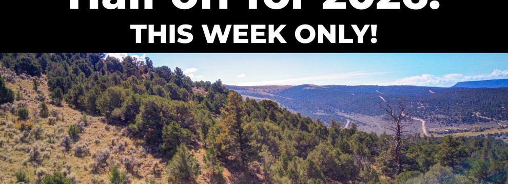 Farm and Ranch for sale in Costilla County, Colorado