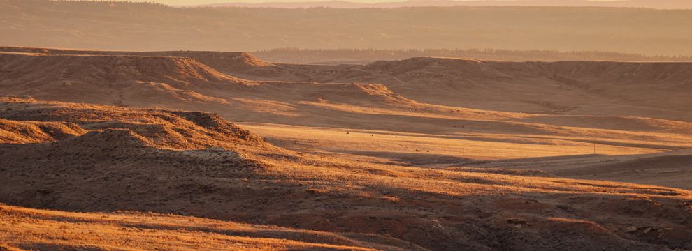 Undeveloped Land for sale in Yellowstone County, Montana