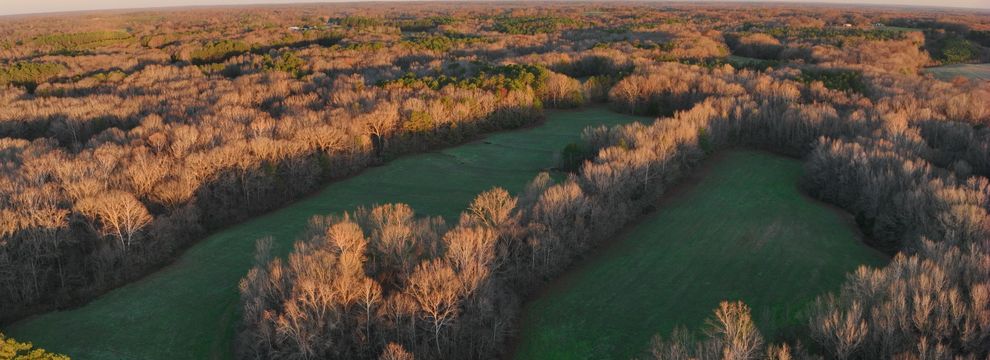 Timberland Property for sale in Hardeman County, Tennessee