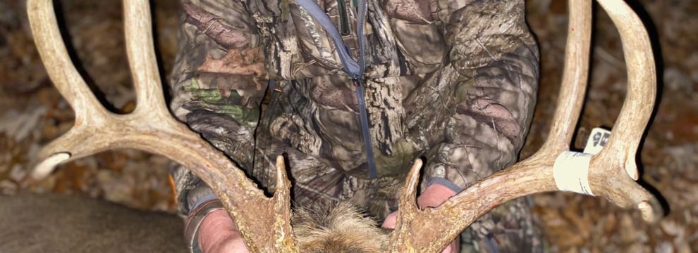 Timberland Property for sale in Pope County, Illinois