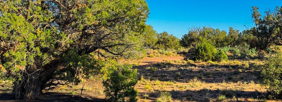 Recreational Property for sale in Navajo County, Arizona